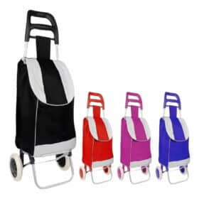 01 Carrinho de Carga 2 Rodas Sortido -  30Kg