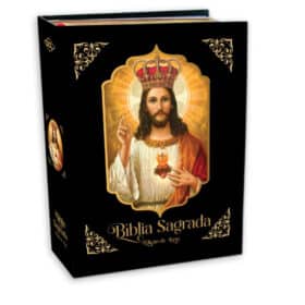 Bíblia Sagrada Capa Almofadada Edição de Luxo